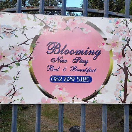 Blooming Nice Stay Harrismith Extérieur photo