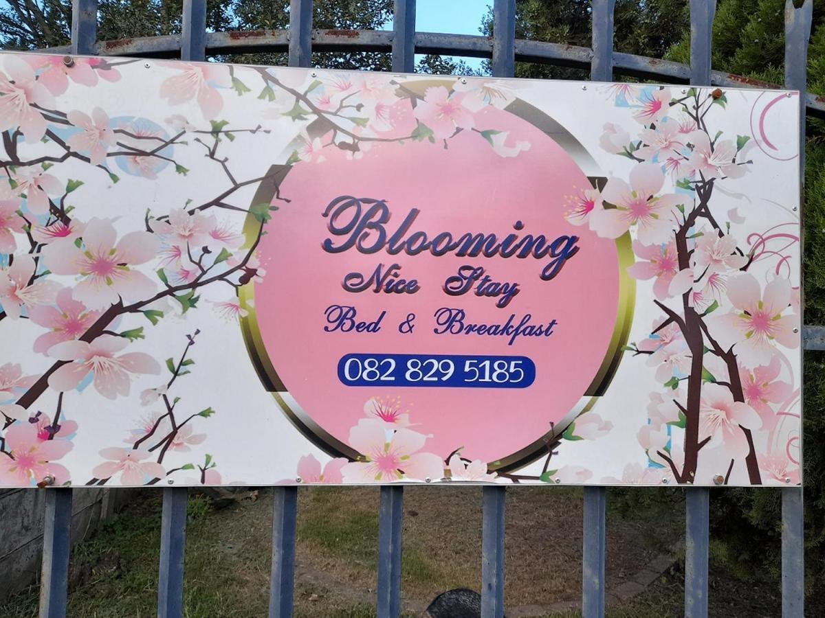 Blooming Nice Stay Harrismith Extérieur photo